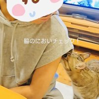 姪の脇の匂いを嗅ぐキジトラ猫