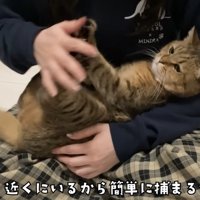 足を触られるみにらくん