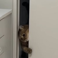 ドアの隙間