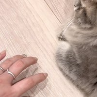 おててを引っ込めた凪ちゃん
