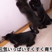 「みんな元気いっぱい...」のテロップ写真