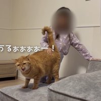 うるぁぁぁぁー！