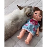 猫と人形