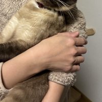 飼い主に抱っこされる猫