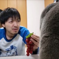 後ろ姿のアップ