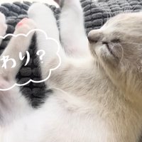 おわり？