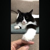 正面から