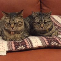 並ぶふたり