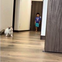 廊下で遊んでいる子どもとそれを見ている子猫
