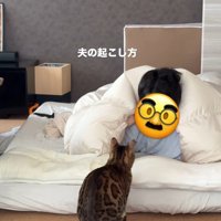 猫と布団の中の飼い主
