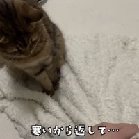 「寒いから返して...」のテロップ写真