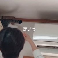 無事に生還した猫