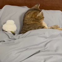 上から(横向き)