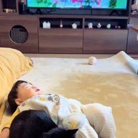 テレビの前で寝転ぶ赤ちゃんの近くで香箱座りをしている猫