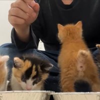 ごはんタイム