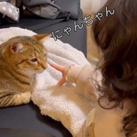 ソファに座っている猫と猫を指さしている子ども