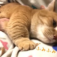 ママさんをふみふみ