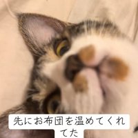 猫の口