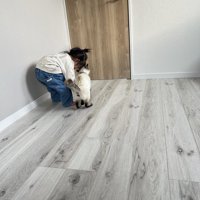 子どもと猫の後ろ姿