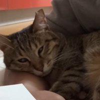 白目