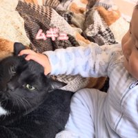 猫の頭をつかむ赤ちゃん