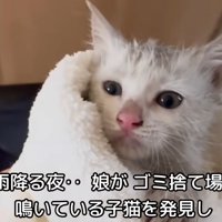 テロップ「雨降る夜～」