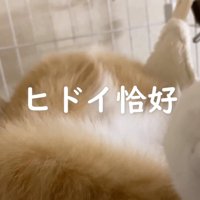 仰向けに見えるウラちゃん