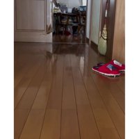 駆け寄る猫