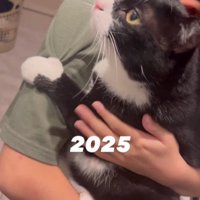 猫を抱っこしている男の子