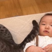 猫と赤ちゃん