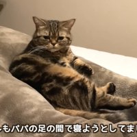 テロップ「メルもパパの～」