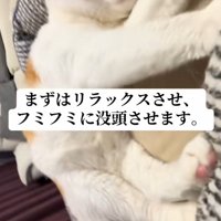 ベッドの中でふみふみしている猫