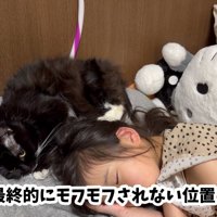 安全圏へ避難