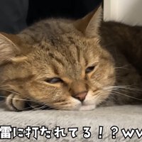 雷に打たれてる！？