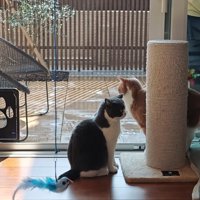 お掃除待ちの3匹