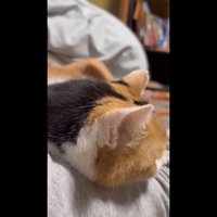 腕枕