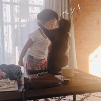 娘さんにパンチするブリティッシュショートヘア