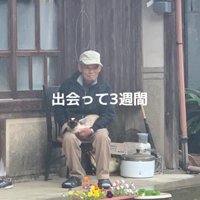 おじいちゃんと猫