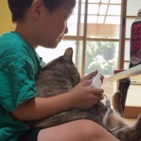 ゲームをしている男の子と猫