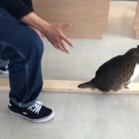 接近