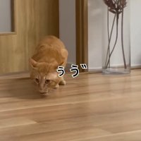 ぅう゛