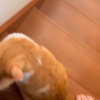 横を通り抜ける