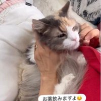 飲み薬を持っている人と抱かれている猫