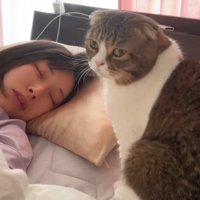 カメラ目線の猫
