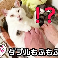 2人いることに気づいたおーちゃんさん