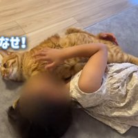 はなせ！