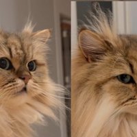 リソラちゃん✕2