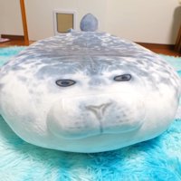 アザラシのアップ