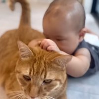 頭をキュッと掴む赤ちゃん