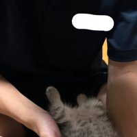 息子さん